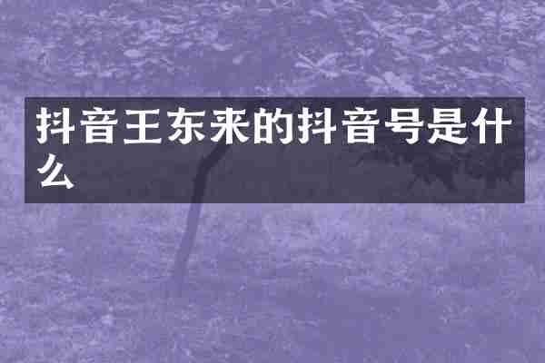 抖音王东来的抖音号是什么