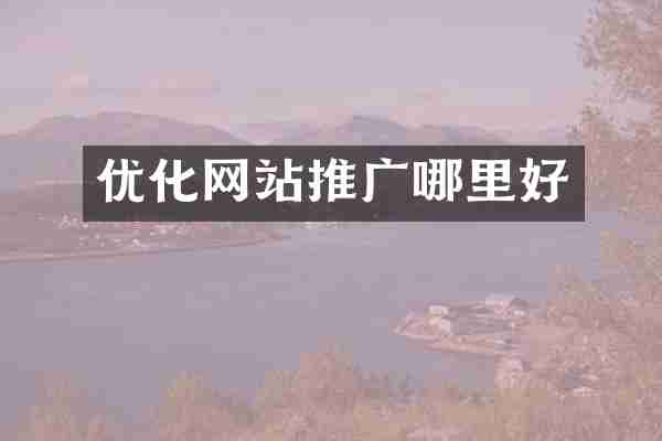优化网站推广哪里好