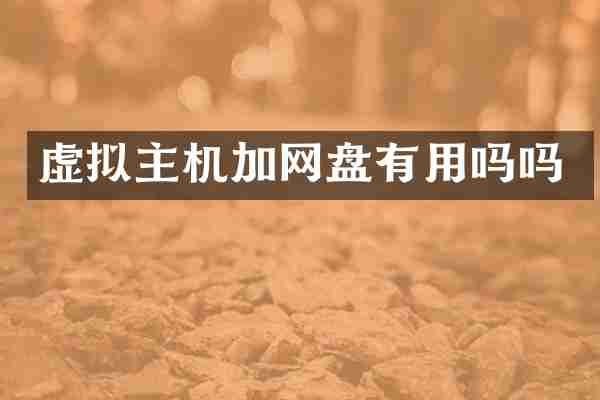 虚拟主机加网盘有用吗吗