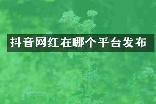 抖音网红在哪个平台发布
