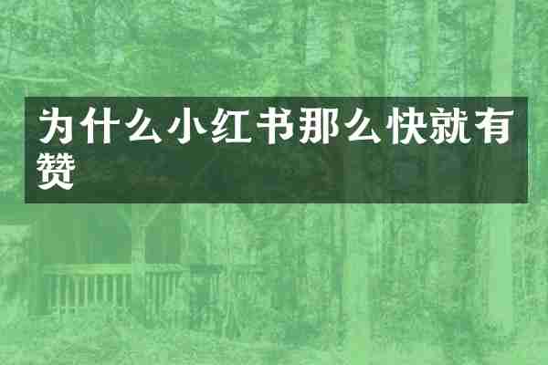 为什么小红书那么快就有赞