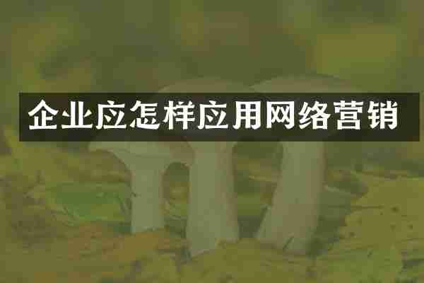 企业应怎样应用网络营销