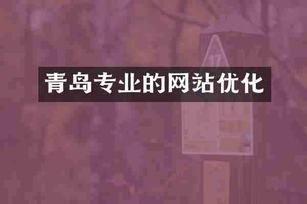 青岛专业的网站优化