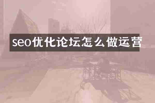 seo优化论坛怎么做运营