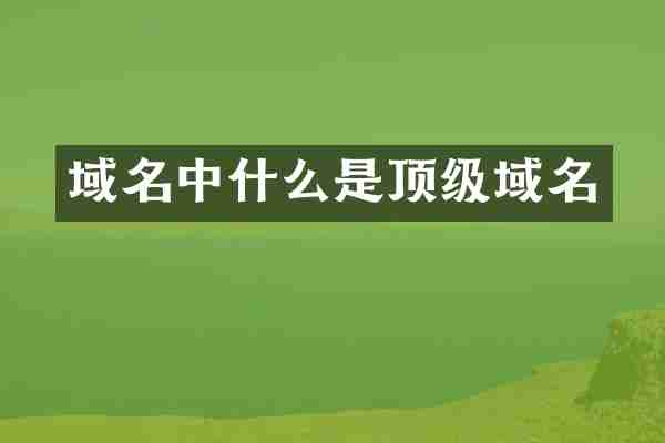域名中什么是顶级域名