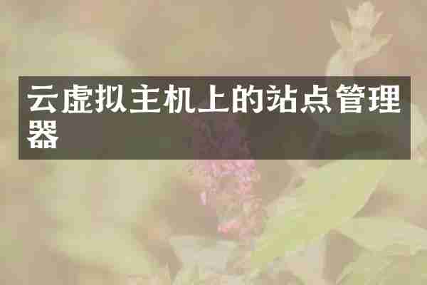 云虚拟主机上的站点管理器