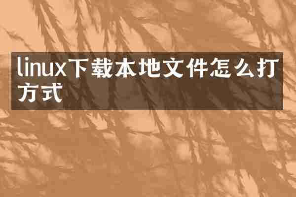 linux下载本地文件怎么打开方式