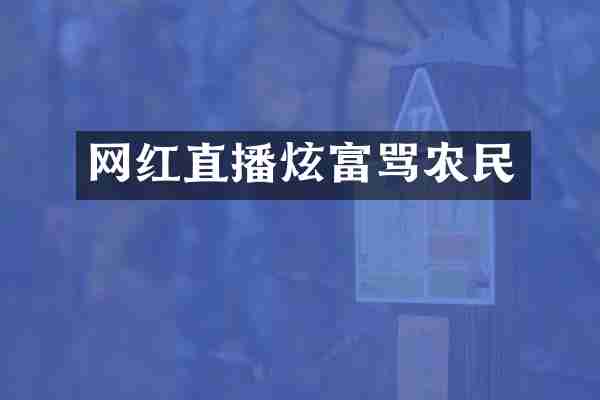 网红直播炫富骂农民