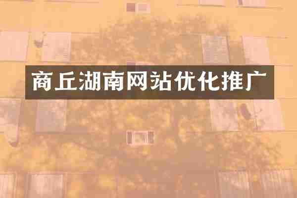 商丘湖南网站优化推广