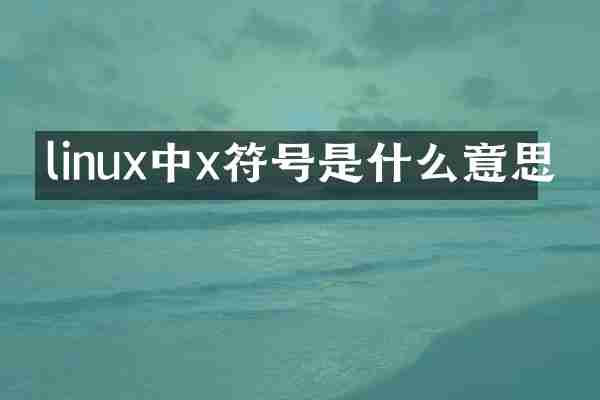 linux中x符号是什么意思