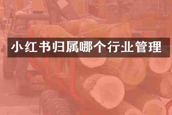小红书归属哪个行业管理