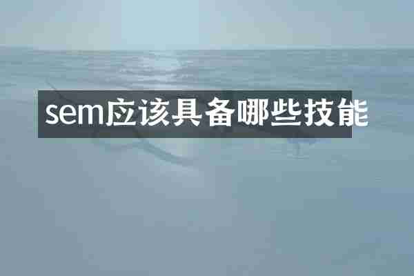 sem应该具备哪些技能
