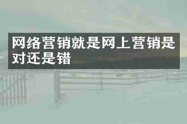 网络营销就是网上营销是对还是错