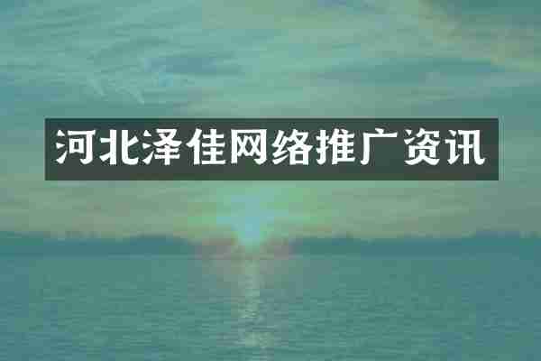 河北泽佳网络推广资讯