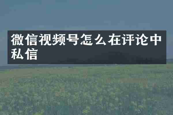 微信视频号怎么在评论中私信