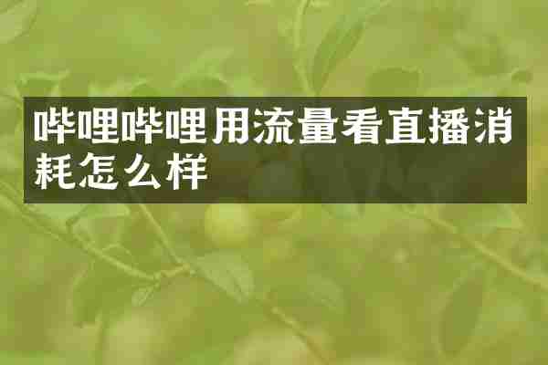 哔哩哔哩用流量看直播消耗怎么样