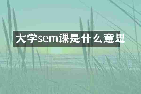大学sem课是什么意思