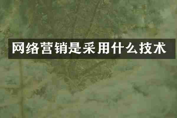 网络营销是采用什么技术