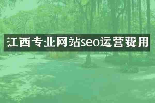 江西专业网站seo运营费用