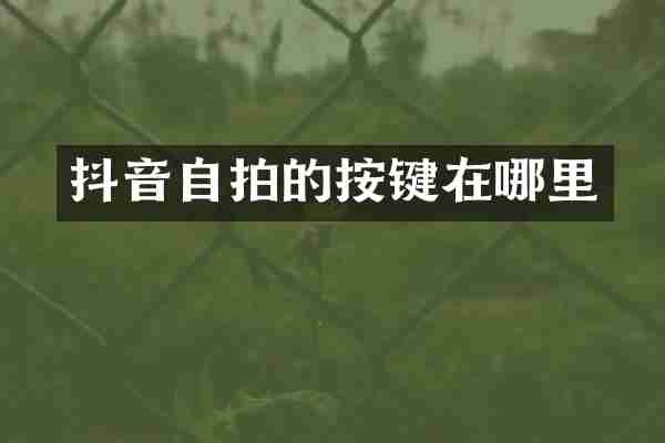 抖音自拍的按键在哪里