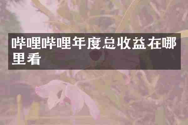 哔哩哔哩年度总收益在哪里看