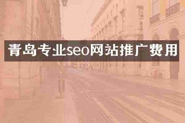 青岛专业seo网站推广费用