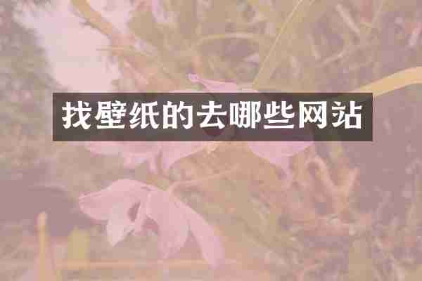 找壁纸的去哪些网站