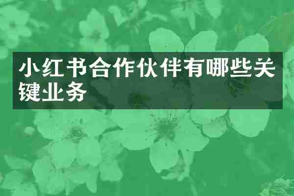 小红书合作伙伴有哪些关键业务