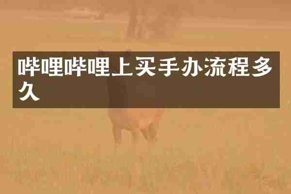 哔哩哔哩上买手办流程多久