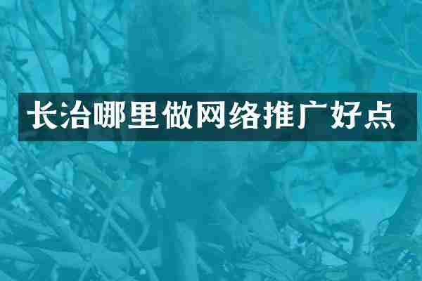 长治哪里做网络推广好点