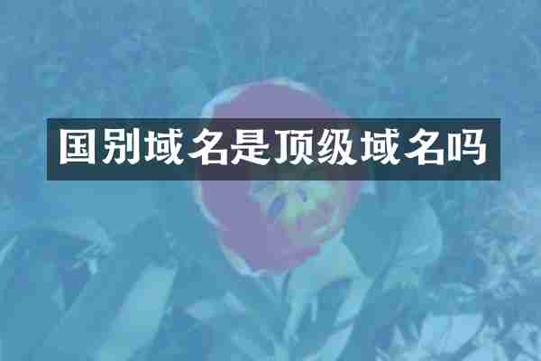 国别域名是顶级域名吗