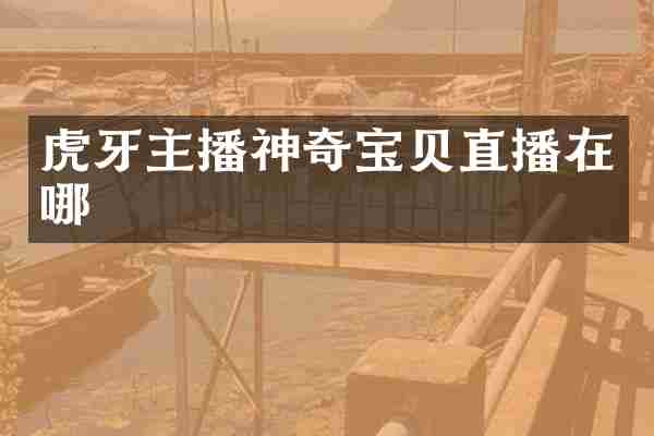 虎牙主播神奇宝贝直播在哪