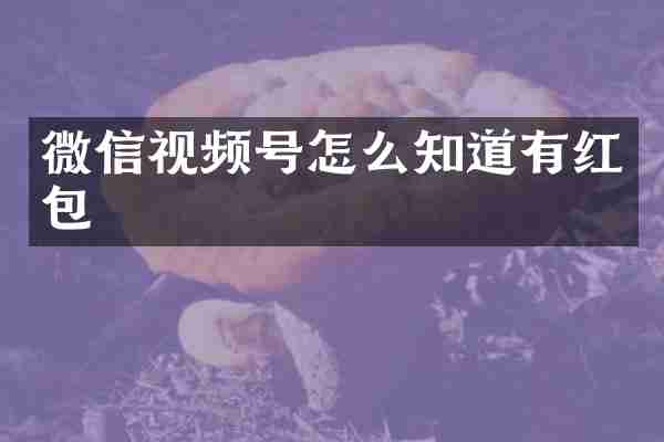 微信视频号怎么知道有红包