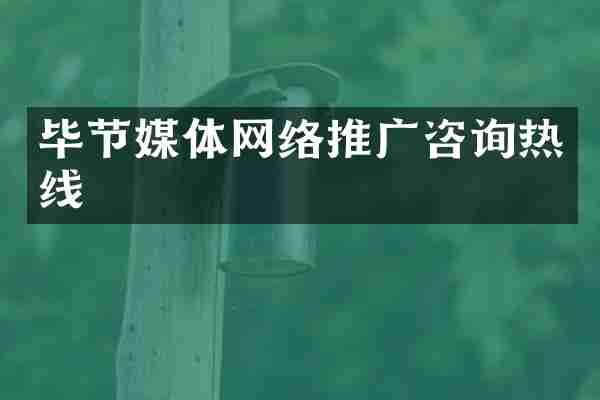毕节媒体网络推广咨询热线
