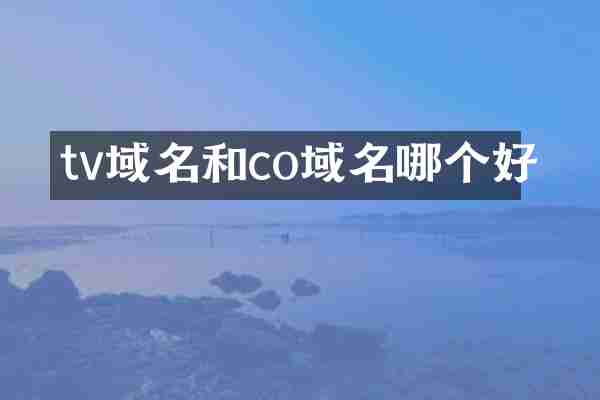 tv域名和co域名哪个好
