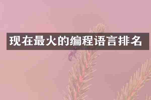 现在最火的编程语言排名