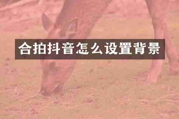 合拍抖音怎么设置背景