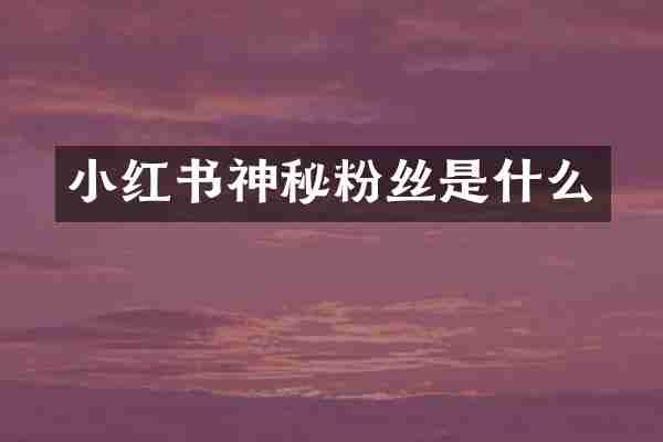 小红书神秘粉丝是什么