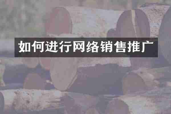 如何进行网络销售推广
