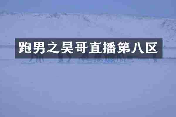 跑男之吴哥直播第八区
