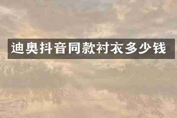 迪奥抖音同款衬衣多少钱