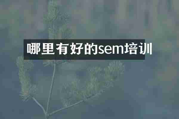 哪里有好的sem培训