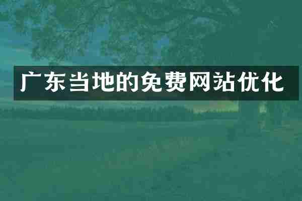 广东当地的免费网站优化