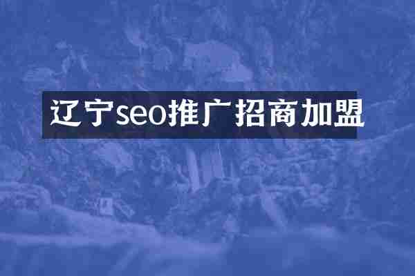辽宁seo推广招商加盟