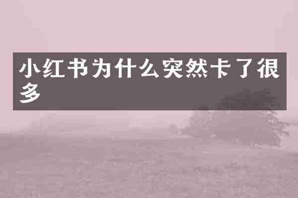 小红书为什么突然卡了很多
