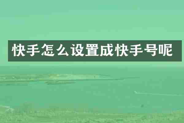 快手怎么设置成快手号呢