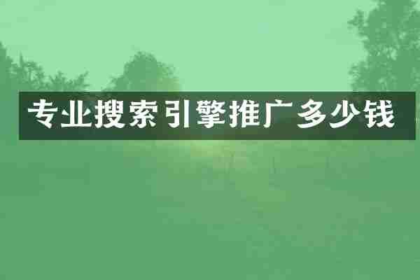 专业搜索引擎推广多少钱
