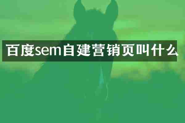 百度sem自建营销页叫什么