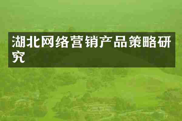 湖北网络营销产品策略研究