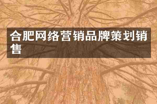 合肥网络营销品牌策划销售